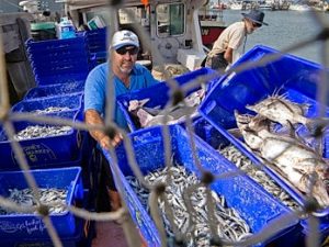 Port Phillip and Corio bays net loss amateurs’ gain