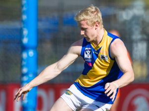 VFL: Williamstown survives close call to beat Geelong in a thriller