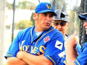 Baseball Victoria men: Williamstown Wolves coach steps down