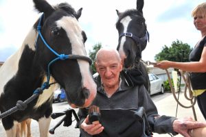Newport: Horses gee up nursing home residents