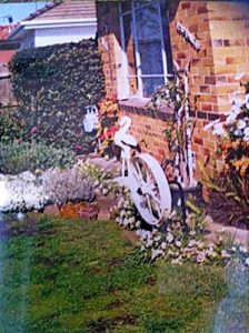 Sadness as the stork ‘flies’