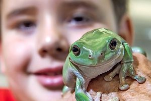 Kids meet critters