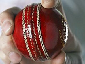 COMMUNITY CALENDAR: Western suburbs