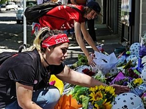 Hobsons bay, Maribyrnong residents slam lost-dog culls