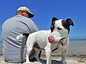 Altona: Dog attacks at off-leash beach spark plea to owners