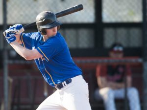 Baseball Victoria: Williamstown Wolves crash again