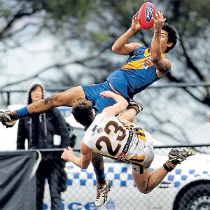 VFL: Seagulls pipped in old-fashioned stoush