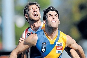 VFL: Seagulls working on the pecking order