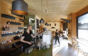 Food review: ‘Fish-inspired’ cafe tips scales