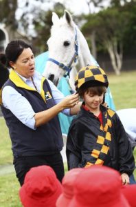 A top equine education