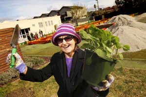 The plots thicken in Maribyrnong