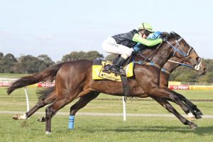 A life of pleasure and Payne