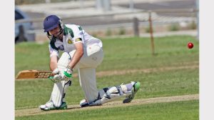 Gallery: WDCA-Wyndhamvale v Williamstown Imperials