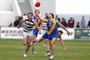 Foxtel Cup: Seagulls book semi-final berth