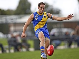 VFL: Seagulls waver in rain in clash against Box Hill Hawks