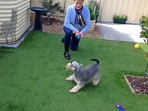 MAKE THIS FIRST RESORT, NOT LAST