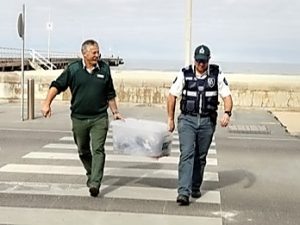 Altona beach: Penguin deaths puzzle experts