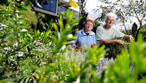 Maribyrnong couple’s bloomin’ beautiful abode