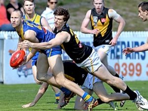 VFL: Williamstown captain Ben Jolley gets life membership