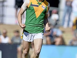 Spotty feels the pain again