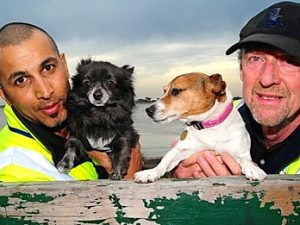 COMMUNITY CALENDAR: Western suburbs