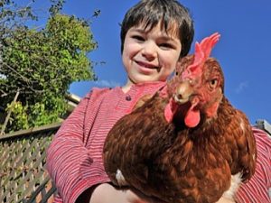 My Smart Garden: Councils go online to help urban gardeners