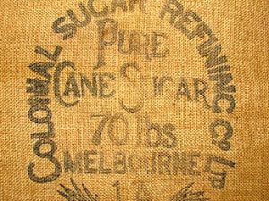 The Giant by the River: Seddon historian’s stories on life’s sweet side | Photo