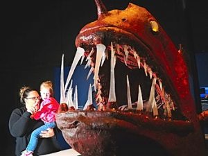 Spotwood: Scienceworks museum reveals deep sea secrets out