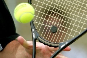 Seagulls swoop, settle on top