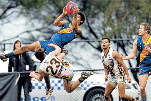 VFL: Seagulls pipped in old-fashioned stoush