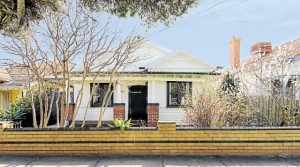 Plenty to bark about