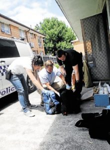 Charges follow 1000 alleged thefts