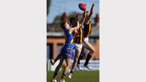 Gallery: VFL Elimination Final – Williamstown v Bendigo