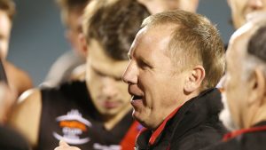 VFL: Williamstown appoints Andy Collins coach