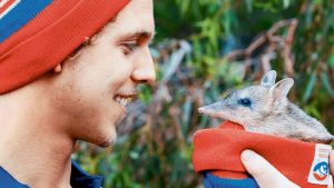 Bulldogs back bandicoots and ‘Common Cents’