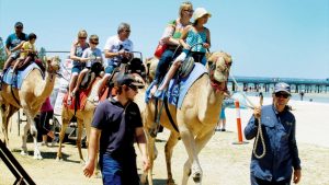 No trader backing for Altona Beach Festival