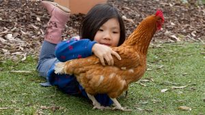 Fowl funds a healthy boost for Altona North childhood centre