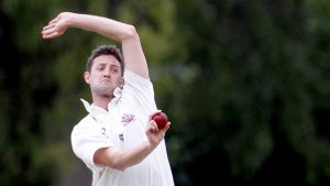 Premier Cricket: Bulldogs defy surging Prahran