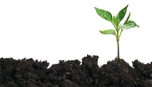 Footscray campaigner takes aim at energy review