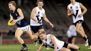 AFL: Draft a taste of sweet success for Honeychurch