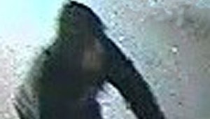 Newport: Bike riding serial sex attacker strikes again