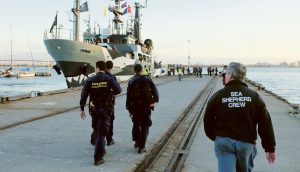 Sea Shepherd’s Sam Simon sails into Williamstown