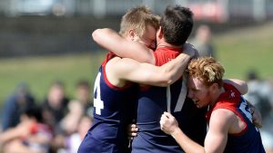 WRFL reserves grand final: St Albans v Sunshine | Photos