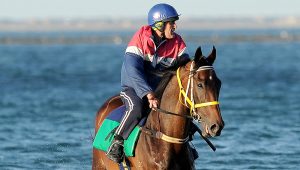 Melbourne Cup: The Offer making western suburbs proud