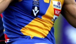 VFL: Williamstown Seagulls extend 30 contracts for 2015