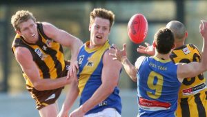 VFL: Williamstown Seagulls’ topsy-turvy season comes to end