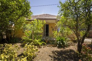 Two for the price of one