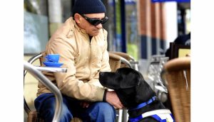 Puppy love a Highpoint for vision impaired