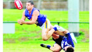 WRFL: Revitalised Warriors see off Viking threat