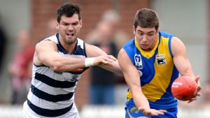 VFL: Williamstown finds Cats too hot in preliminary final